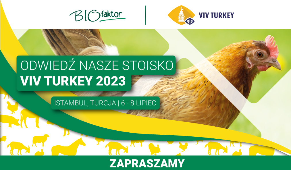 VIV Turcja 2023, Istambuł | 6-8 Lipca